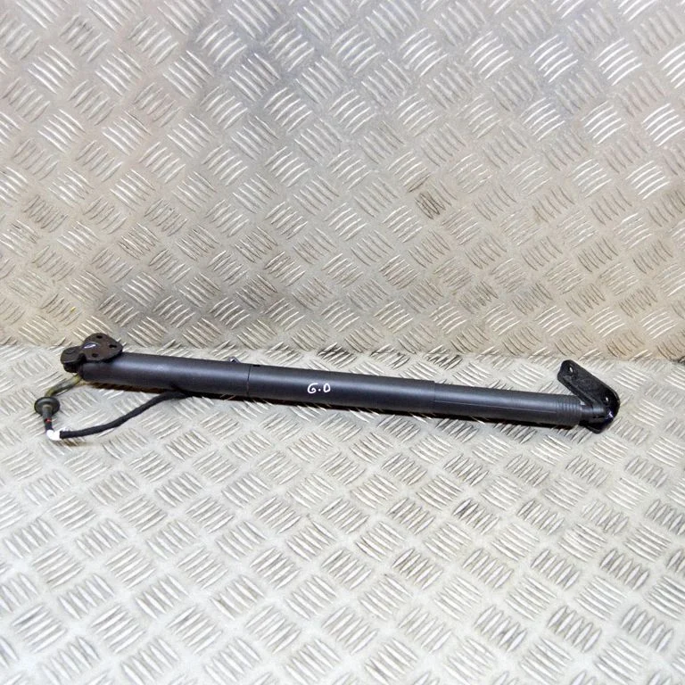 Tailgate/trunk strut/damper 95B827851F