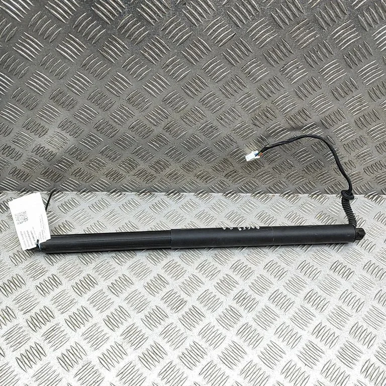 Aizmugurējā vāka amortizators 193202699D