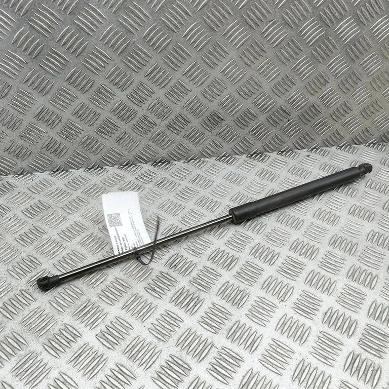 Tagaluugi gaasiamortisaator 904520237R