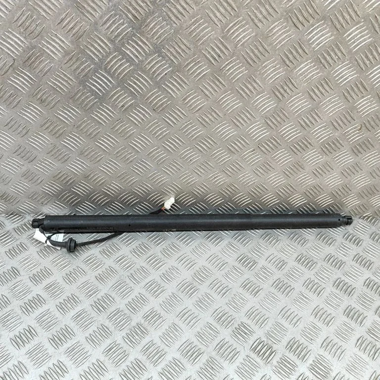 Tailgate/trunk strut/damper 9843298480