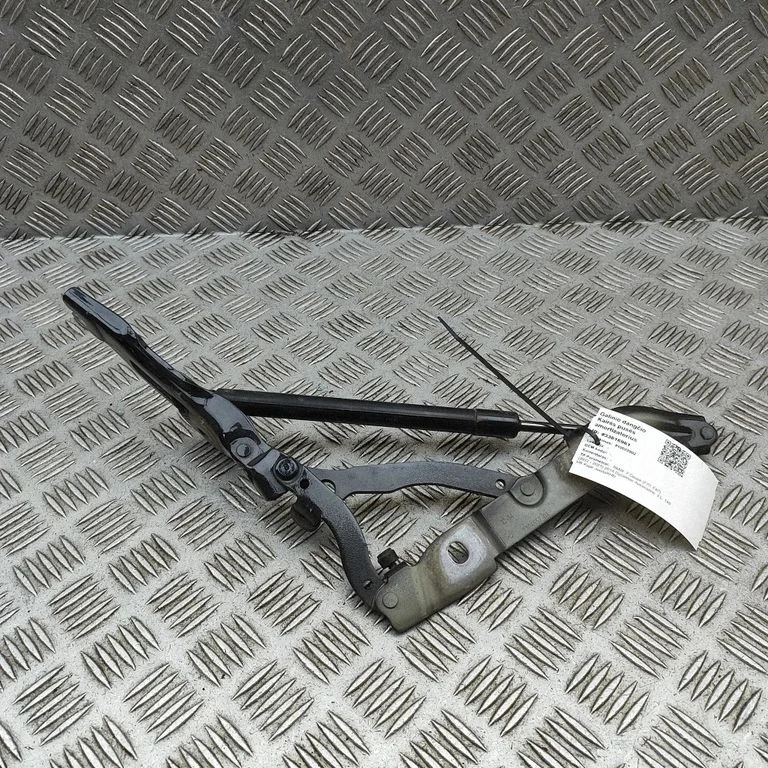 Aizmugurējā vāka amortizators 7304557