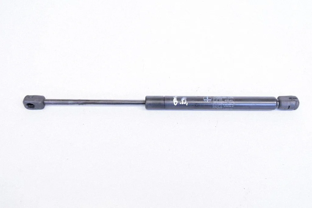 Tailgate/trunk strut/damper GNA3800AA
