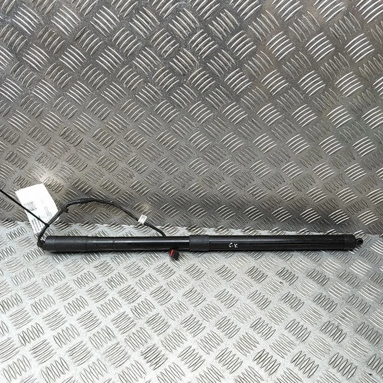 Tailgate/trunk strut/damper EX5370354AB