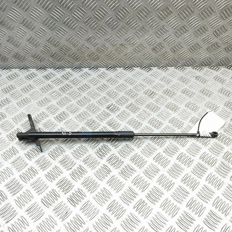 Aizmugurējā vāka amortizators 9813913880