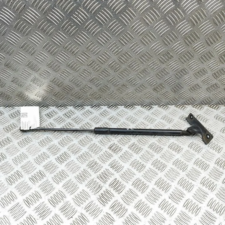 Aizmugurējā vāka amortizators 9813913880