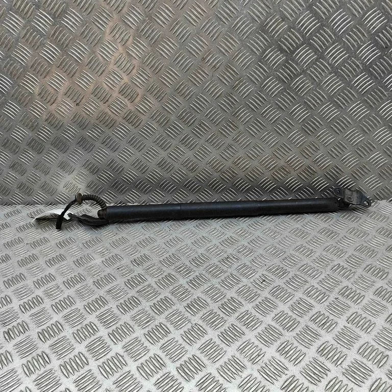 Tailgate/trunk strut/damper 7350837