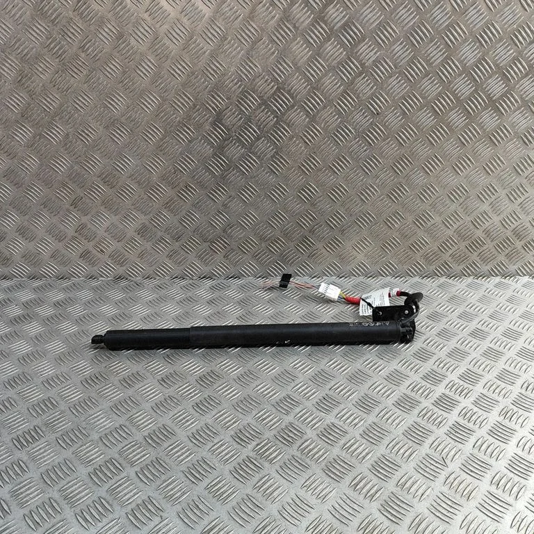 Tailgate/trunk strut/damper 904519468R