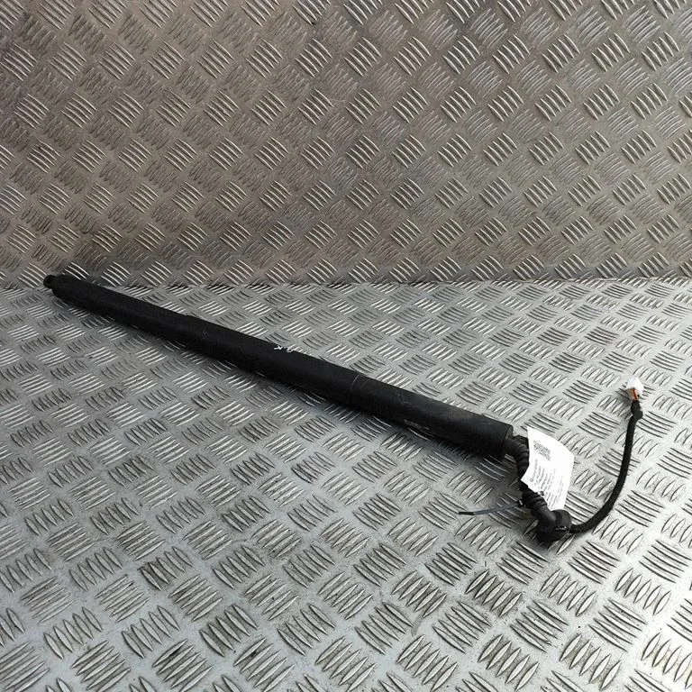 Tailgate/trunk strut/damper 106566400B