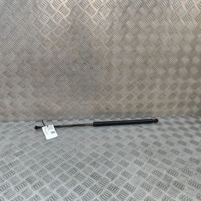 Tailgate/trunk strut/damper EX53406A10AC