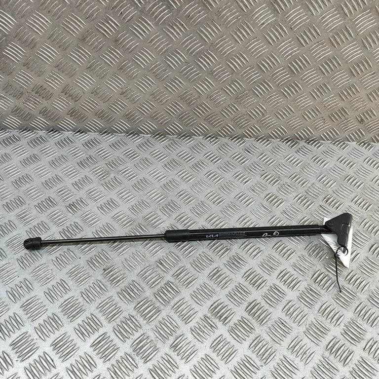 Aizmugurējā vāka amortizators 81840R2000