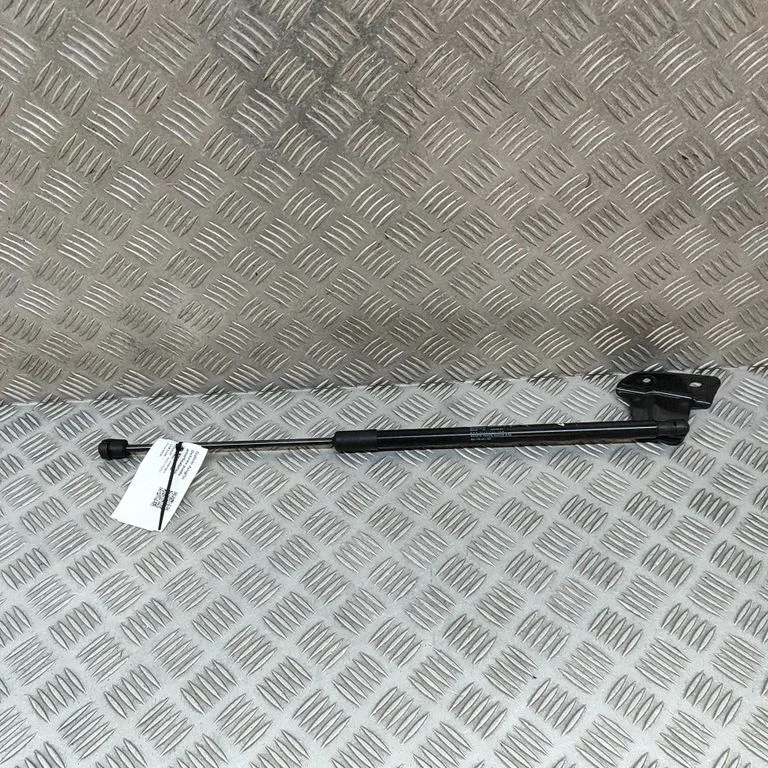 Aizmugurējā vāka amortizators 9817054180