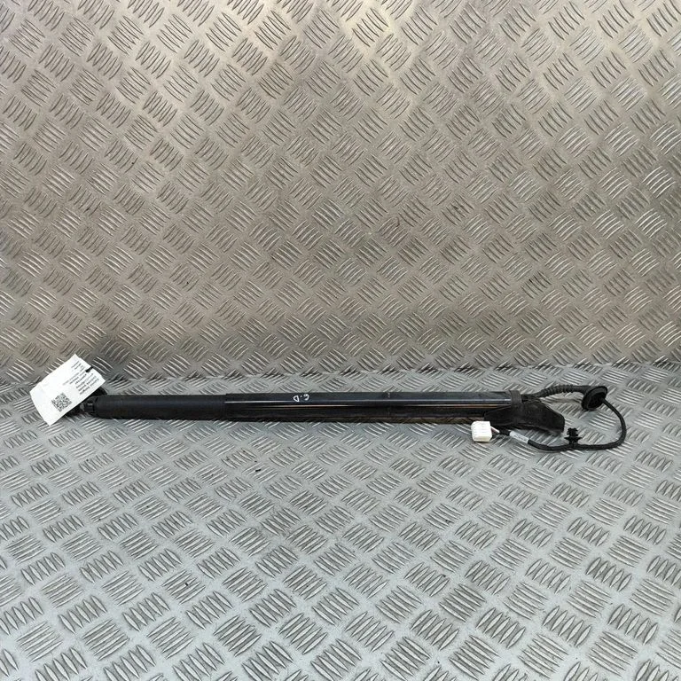 Tailgate/trunk strut/damper FM2955210009A