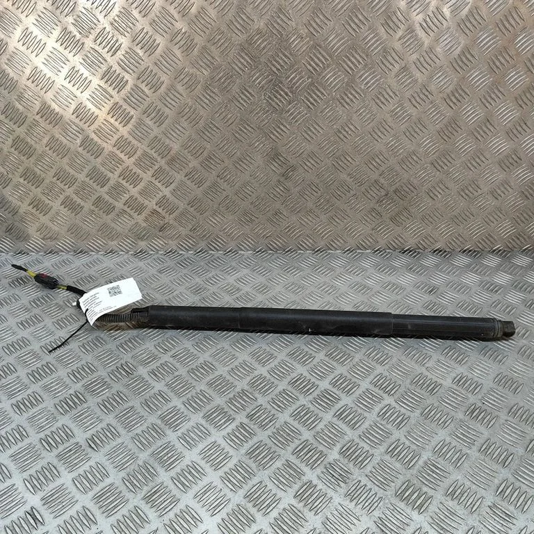 Tagaluugi gaasiamortisaator 11A827851