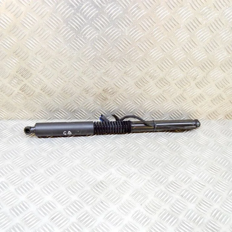 Tailgate/trunk strut/damper 7397322
