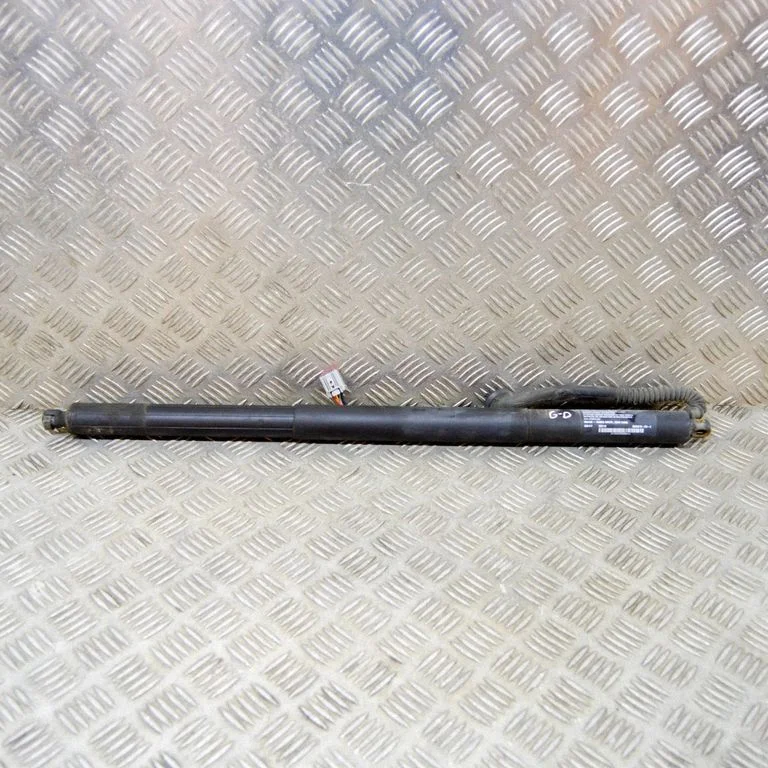 Tailgate/trunk strut/damper 600661000C