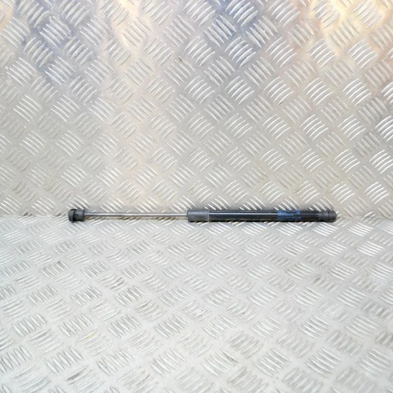Tailgate/trunk strut/damper 3AF827550B
