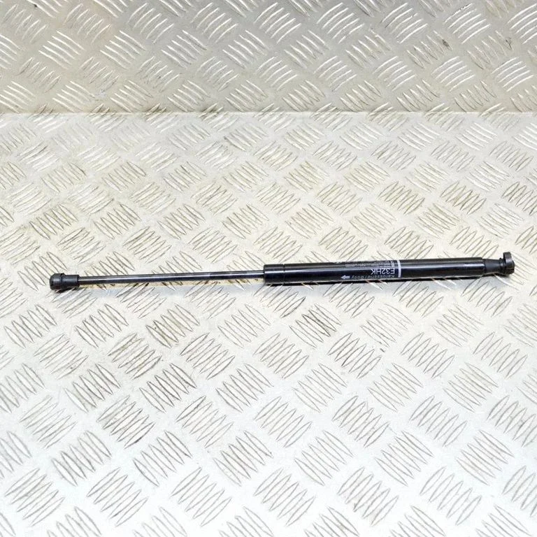 Tailgate/trunk strut/damper 7295205