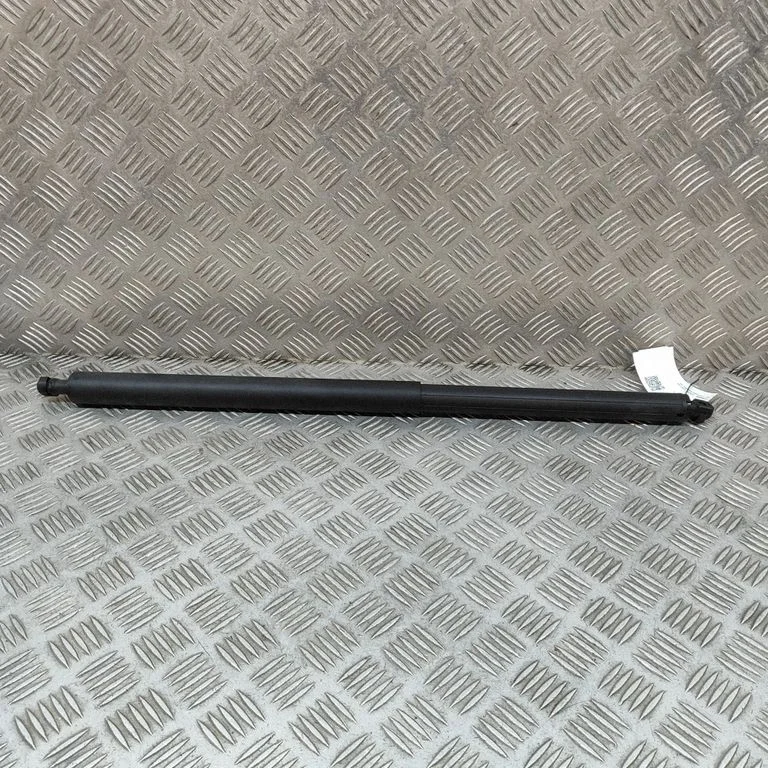 Tagaluugi gaasiamortisaator 81841CU100