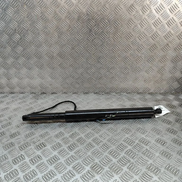 Tailgate/trunk strut/damper 7954153