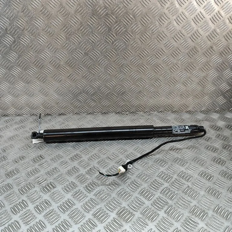 Tailgate/trunk strut/damper 7954154