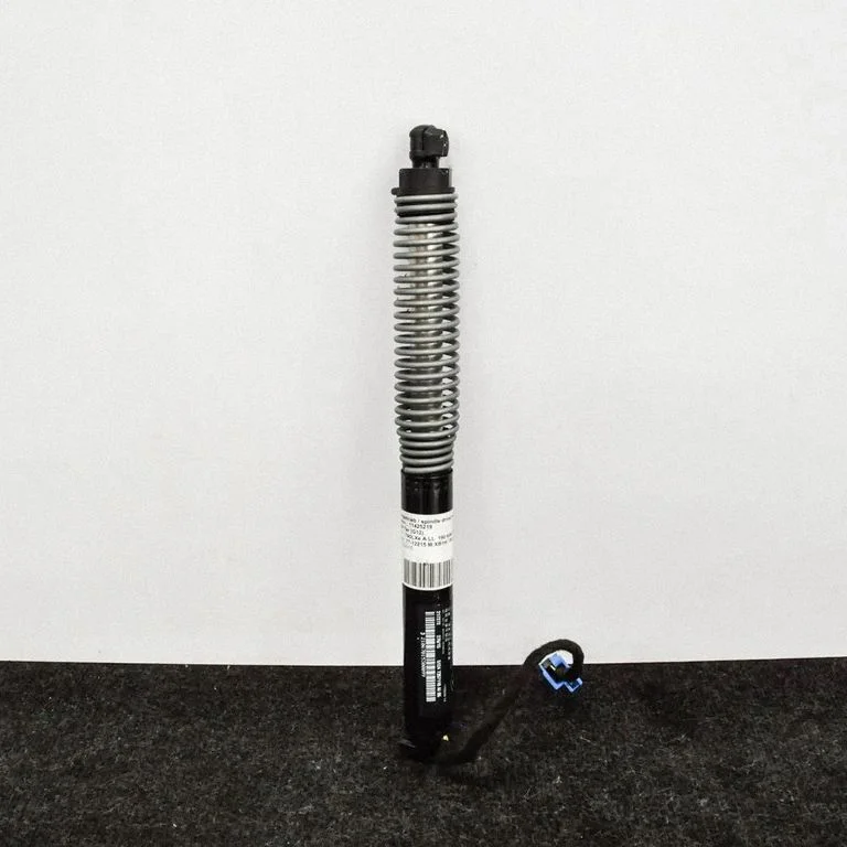 Tagaluugi gaasiamortisaator – BMW 7-seeria G11 G12 (2015-2022)