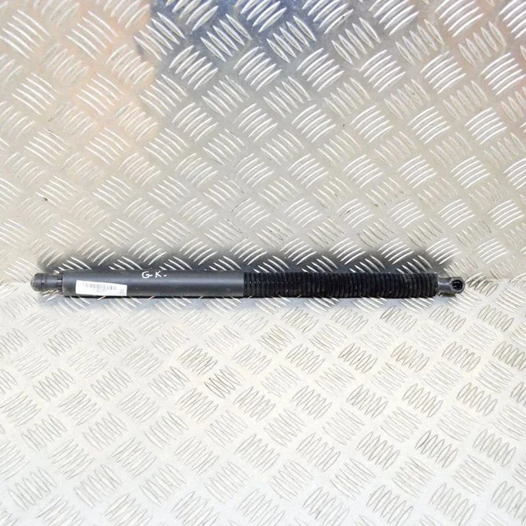 Tailgate/trunk strut/damper 7397319