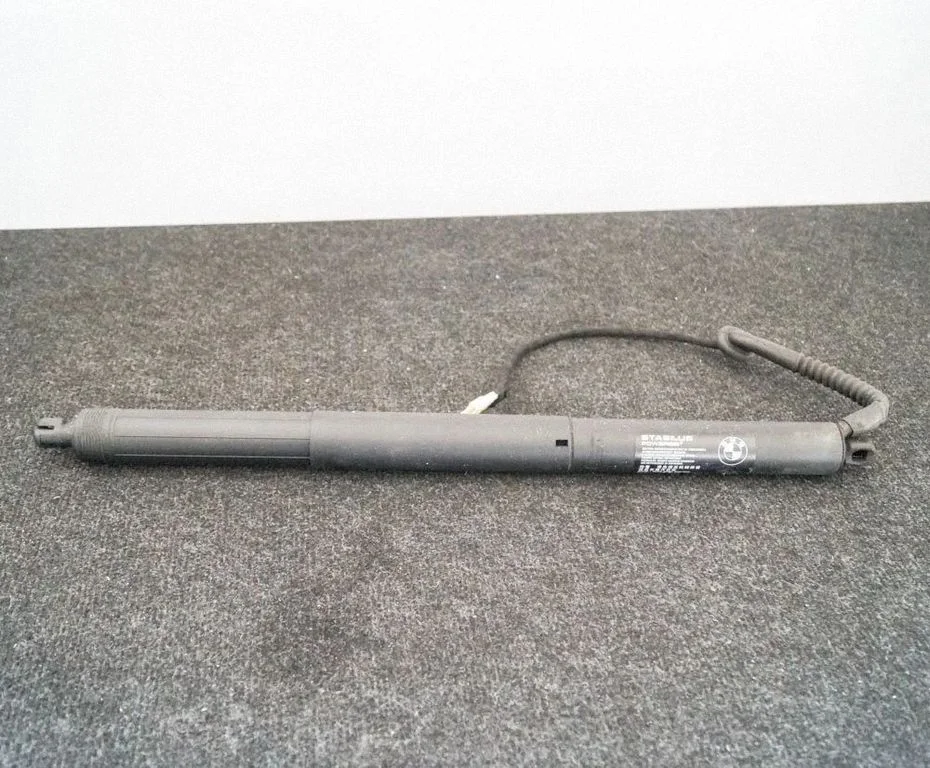 Tagaluugi gaasiamortisaator 961745