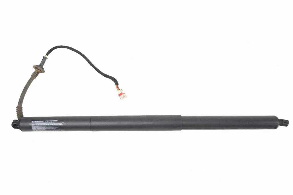 Tagaluugi gaasiamortisaator 81831CV100