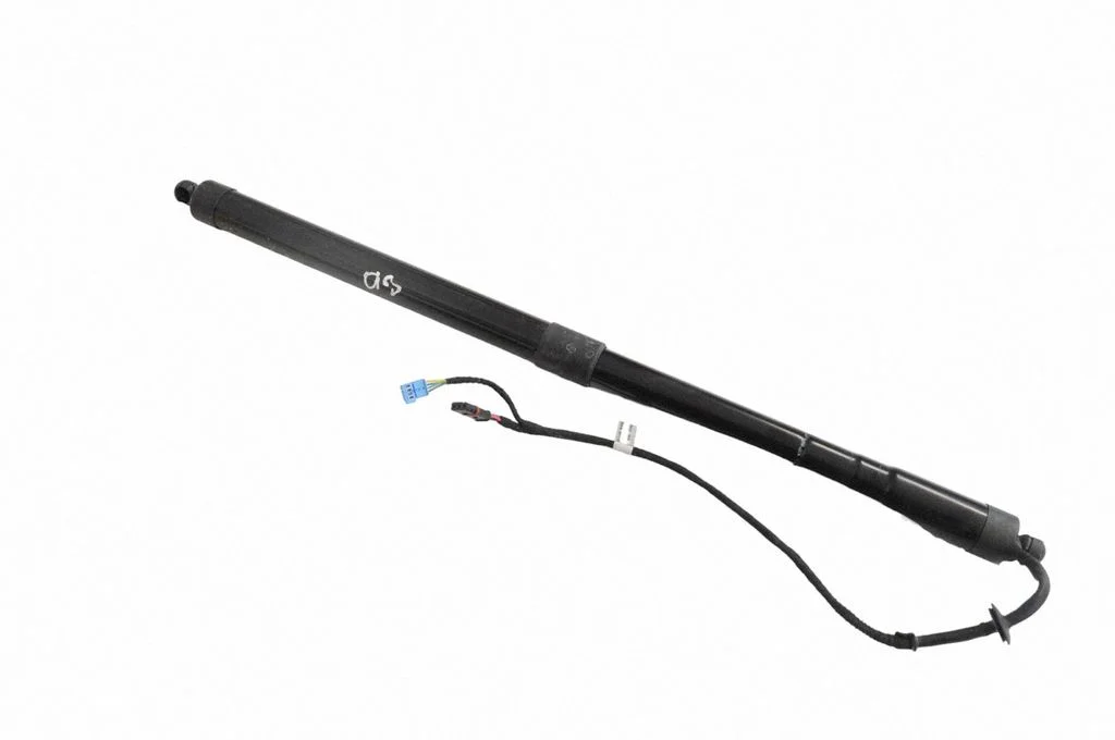 Tailgate/trunk strut/damper 970512573