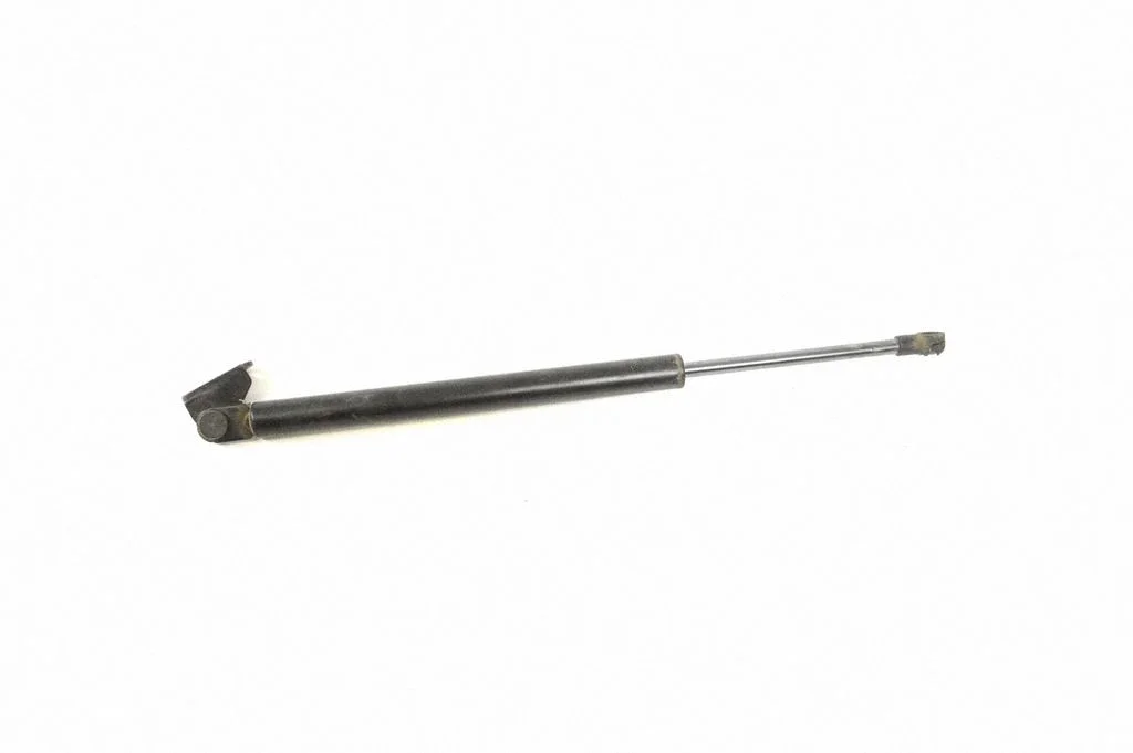 Tailgate/trunk strut/damper 18F19C1