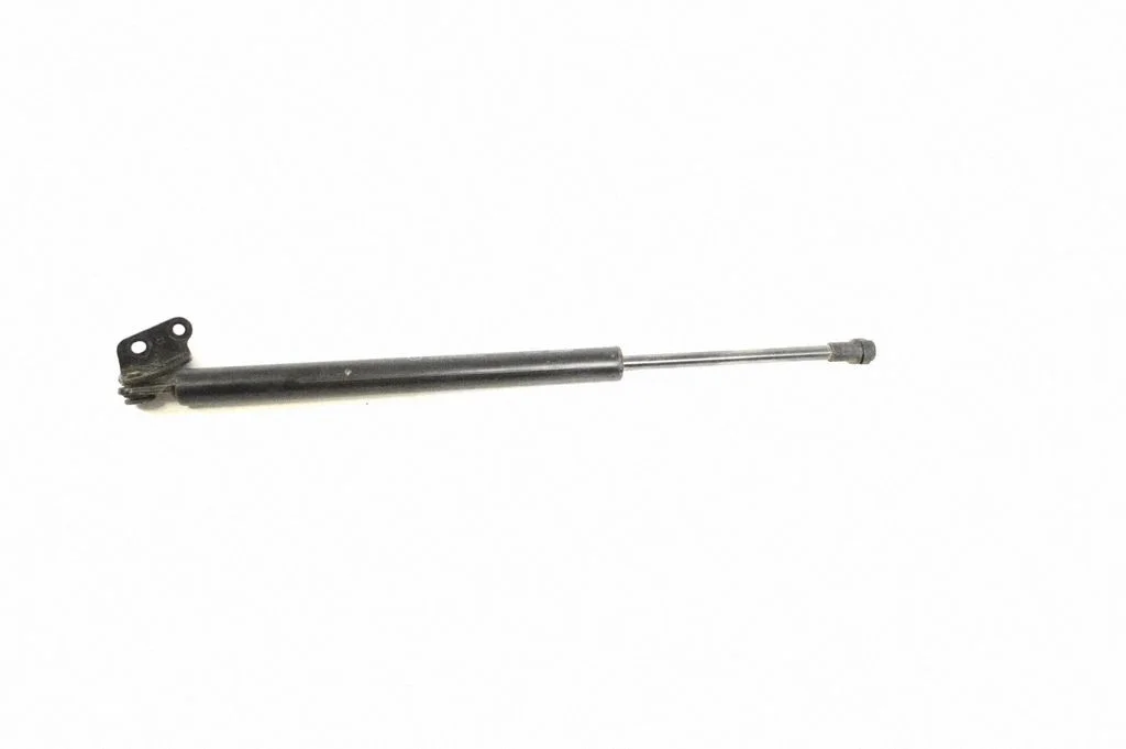 Tailgate/trunk strut/damper 18F29C3