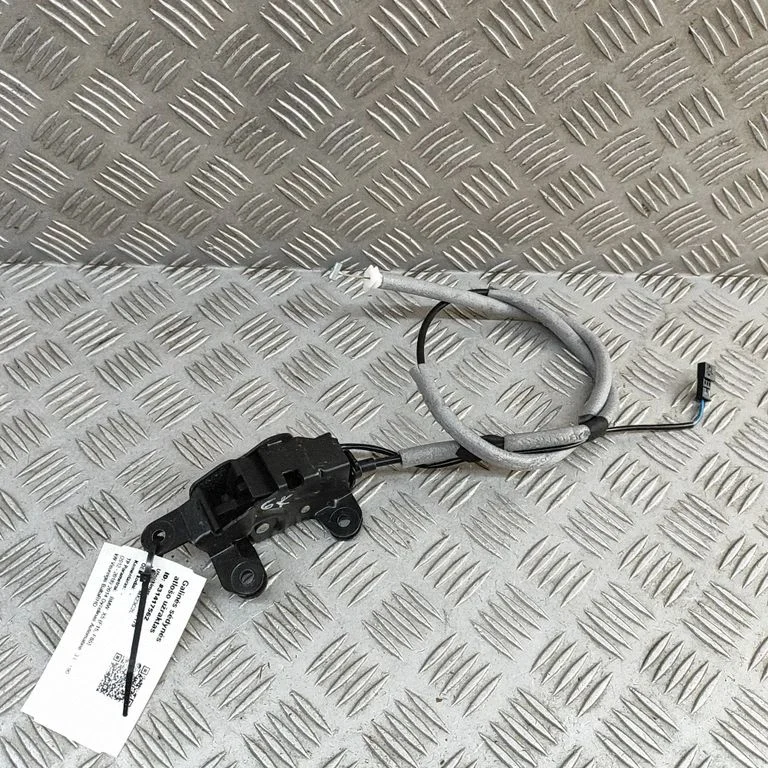 Aizmugurējā vāka slēdzene 7183196
