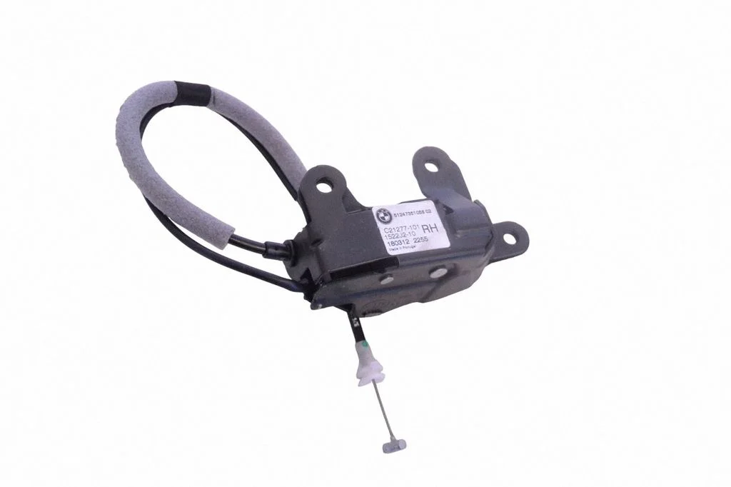 Aizmugurējā vāka slēdzene 7351058