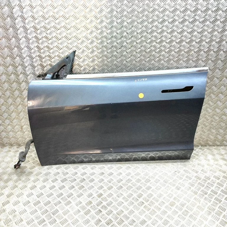 Priekšējās durvis 109049500E