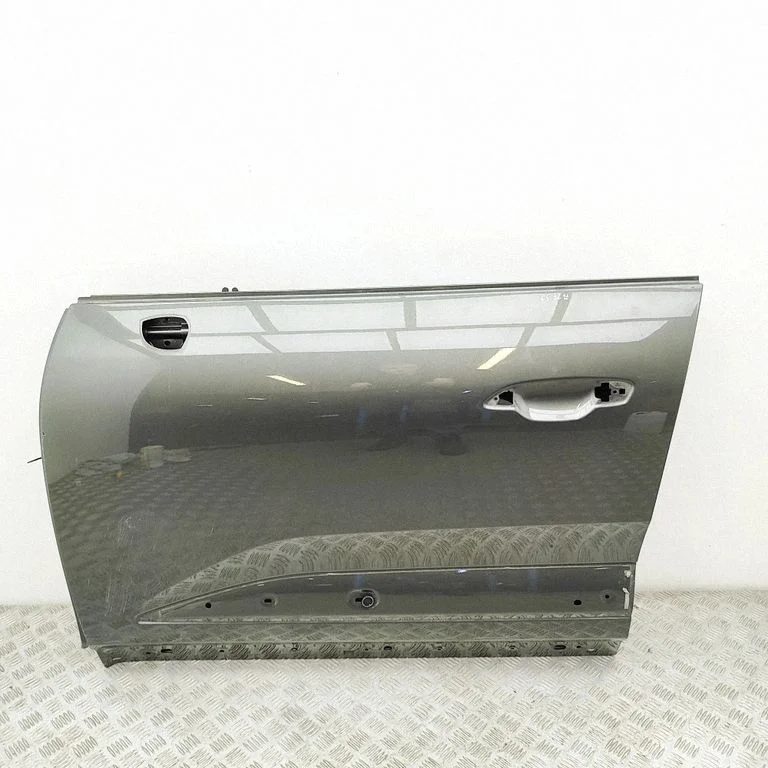 Front door 95C831051Y