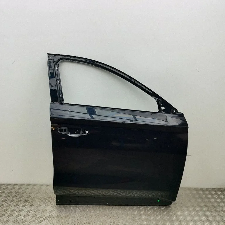 Front door SA3HKU6101019