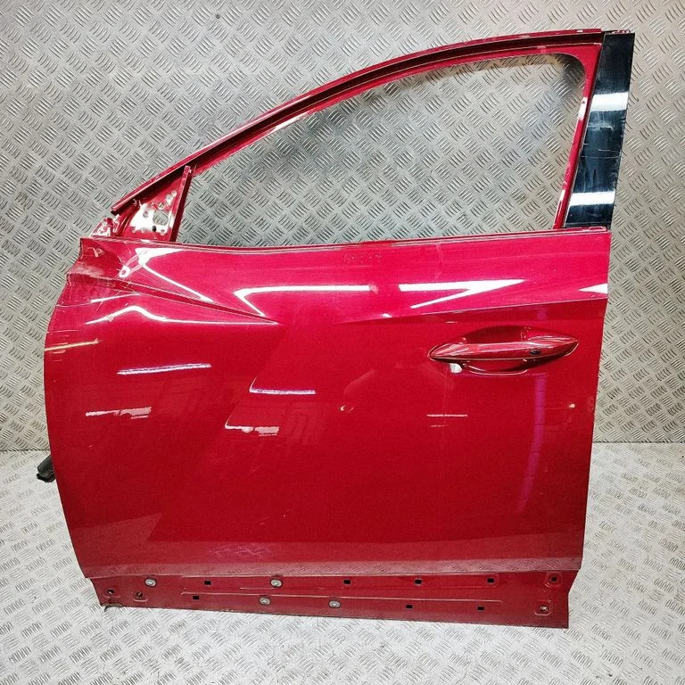 Priekšējās durvis 76003N7005
