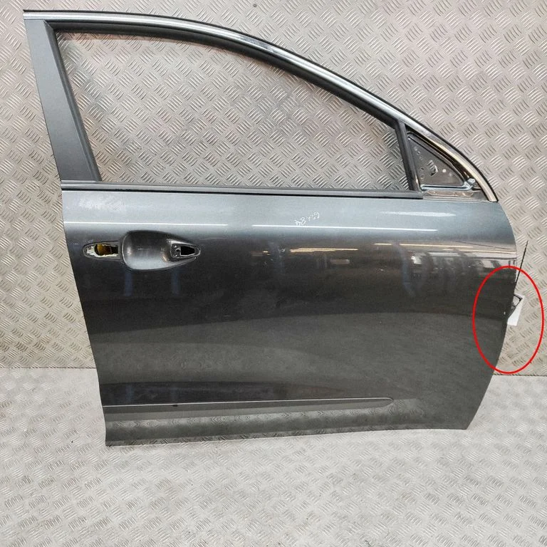 Front door 76004G5000