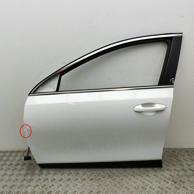 Priekšējās durvis 76003J7800