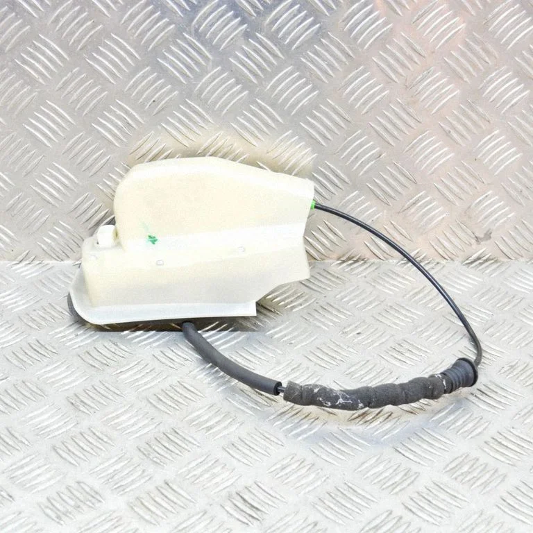 Front door lock 106896300M