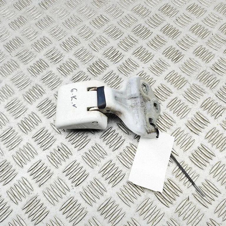 Rear door lower hinge 9820032180