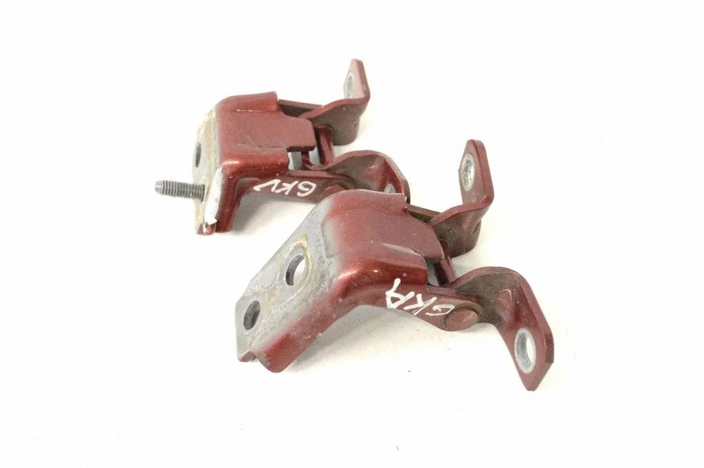 Rear door lower hinge – left
