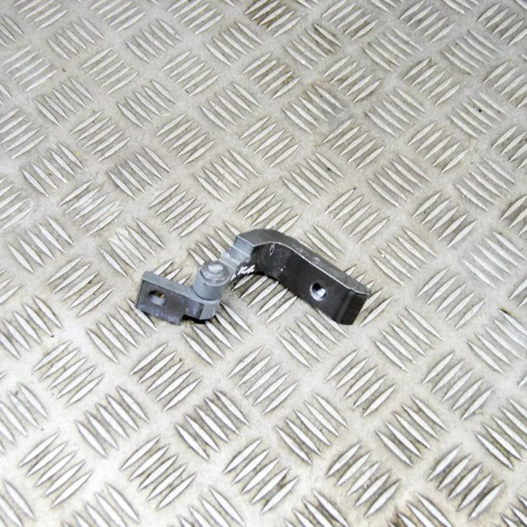 Rear door lower hinge 7397385