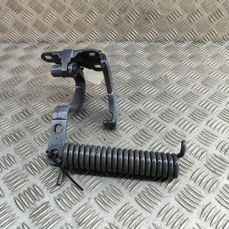 Rear door lower hinge 104758100D