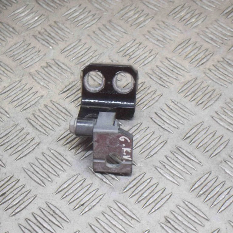 Rear door lower hinge – left