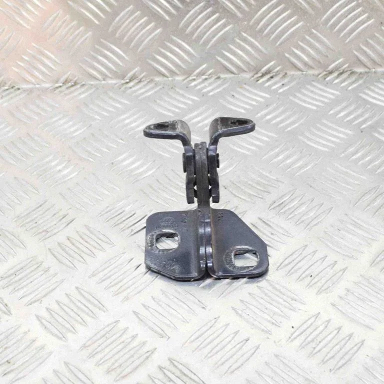Rear door lower hinge 1120038