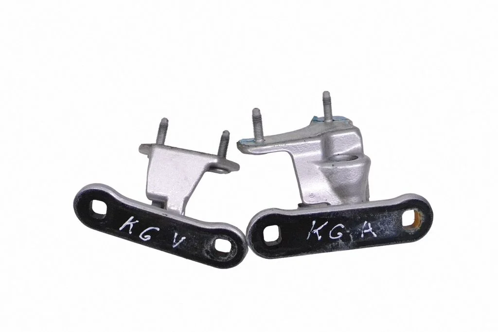 Rear door lower hinge – left