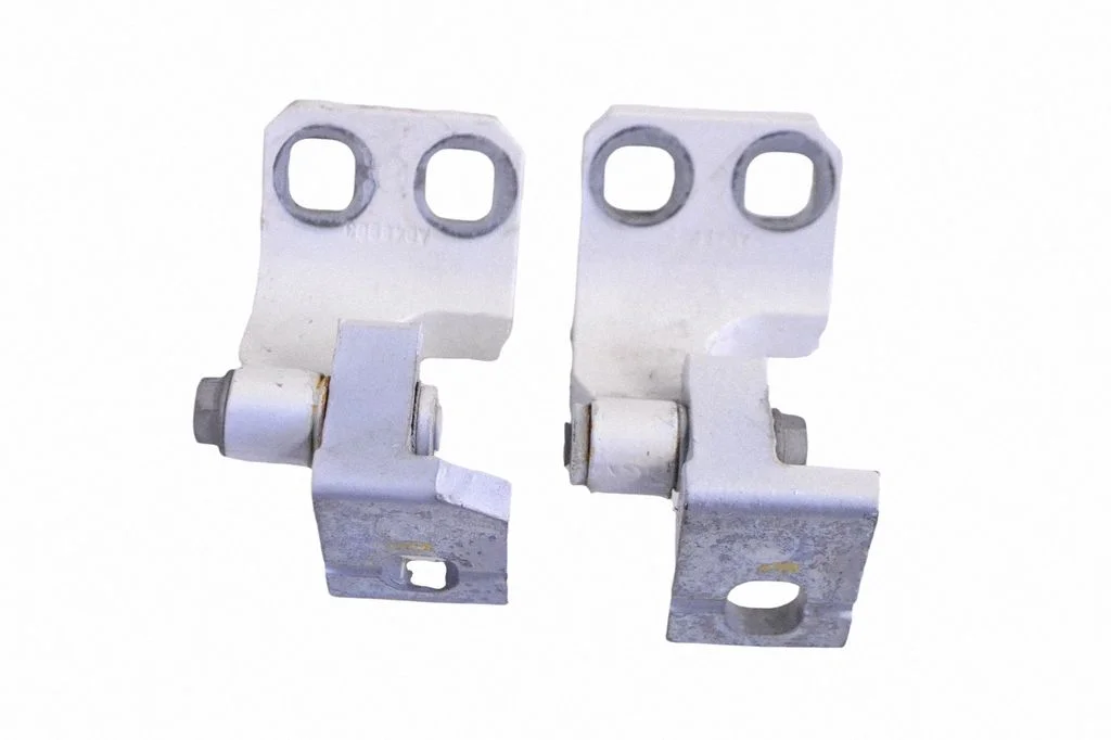 Rear door lower hinge – left