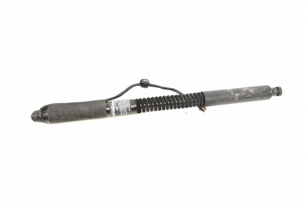 Tagaukse alumine hing 106344001D