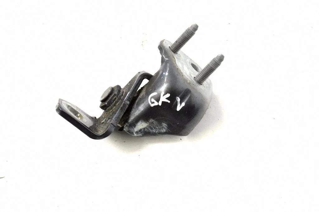 Rear door lower hinge – Ford Ecosport (2013-2017)